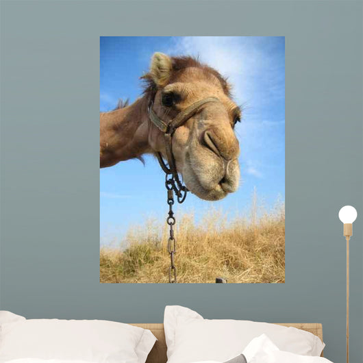 Camel Wall Decal