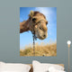Camel Wall Decal