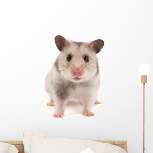 Hamster Wall Decal