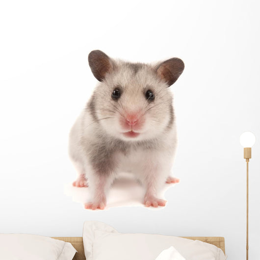 Hamster Wall Decal