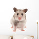 Hamster Wall Decal