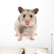 Hamster Wall Decal