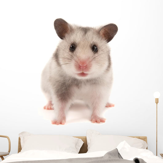 Hamster Wall Decal