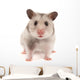 Hamster Wall Decal