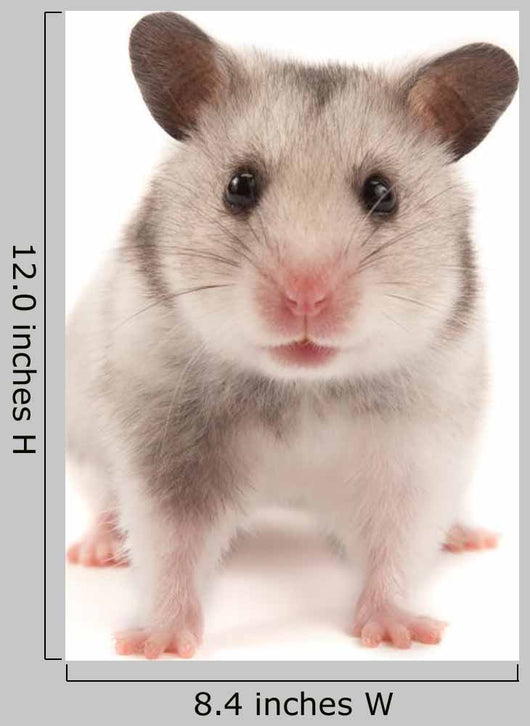 Hamster Wall Decal