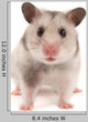Hamster Wall Decal