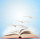 Magic Book Pages Flying Away Wall Decal