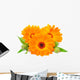 Calendula Flower Wall Decal