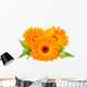 Calendula Flower Wall Decal