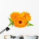 Calendula Flower Wall Decal