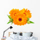 Calendula Flower Wall Decal