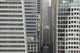 Downtown San Francisco Wall Decal