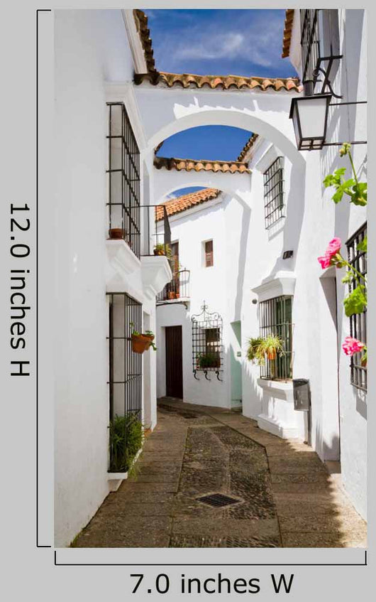 Andalusia Wall Decal
