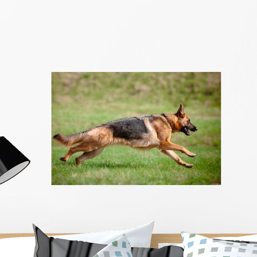 German Shepherd Action Wall Decal