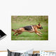 German Shepherd Action Wall Decal