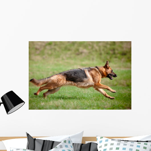 German Shepherd Action Wall Decal