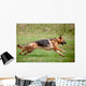 German Shepherd Action Wall Decal