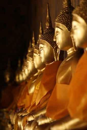 Line of Buddha Statues Vertical Wall Decal