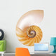 Split Cream Nautilus Wall Decal