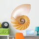 Split Cream Nautilus Wall Decal