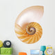 Split Cream Nautilus Wall Decal