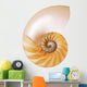 Split Cream Nautilus Wall Decal