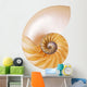 Split Cream Nautilus Wall Decal