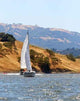 Sailing Lake Wall Decal