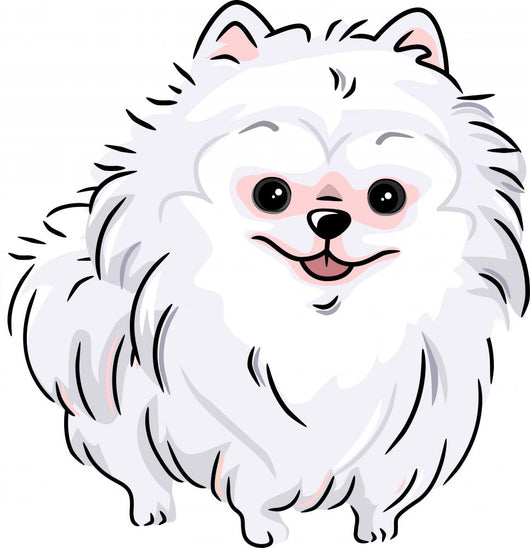 White Pomeranian Wall Decal