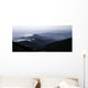 Schwarzwald im Nebel Wall Decal