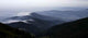 Schwarzwald im Nebel Wall Decal