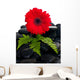 Red Gerbera Flower Wall Decal