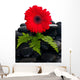Red Gerbera Flower Wall Decal