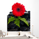 Red Gerbera Flower Wall Decal