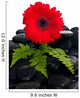Red Gerbera Flower Wall Decal