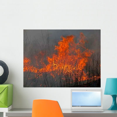Flame 12 Wall Decal shown on a wall
