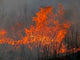 Flame 12 Wall Decal