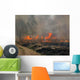 Fire 5 Wall Decal