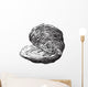 Oyster Bivalve Mollusk Wall Decal