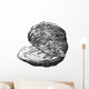 Oyster Bivalve Mollusk Wall Decal