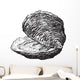 Oyster Bivalve Mollusk Wall Decal