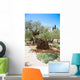 Garden Gethsemane Jerusalem Israel Wall Decal
