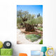 Garden Gethsemane Jerusalem Israel Wall Decal