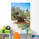 Garden Gethsemane Jerusalem Israel Wall Decal