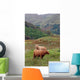 Highland Cattle Wall Decal