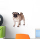 Pug Dog White Wall Decal