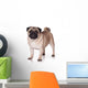 Pug Dog White Wall Decal