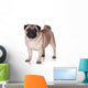 Pug Dog White Wall Decal