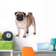 Pug Dog White Wall Decal