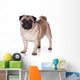 Pug Dog White Wall Decal